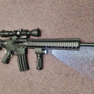 PALMETTO STATE ARMORY FULL PACKAGE LOADED READY TO GO FIXED MAGAZINE AR-15 PA15 M4