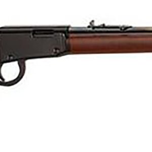HENRY REPEATING ARMS  HENRY CLASSIC LARGE LOOP 22