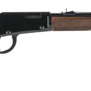 HENRY REPEATING ARMS  HENRY CLASSIC LEVER ACTION 22WMR