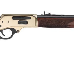 HENRY REPEATING ARMS  HENRY SIDE GATE .45-70