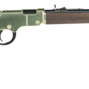 HENRY REPEATING ARMS  HENRY GOLDEN BOY LEVER ACTION 22